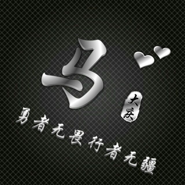 勇者无畏行者无疆姓氏头像,勇者无敌图片头像