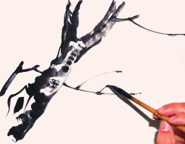 国画花枝穿插技巧图解,国画花枝的简单教程