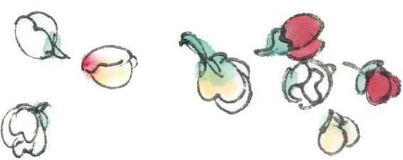 国画梅花上的雪画法步骤教程视频,零基础国画入门画梅花教程