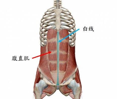 肋骨外翻、腹肌虚弱，这样呼吸，效果更好