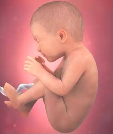 早产儿成长全过程,早产儿康复之路