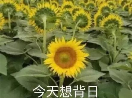 编辑部大公开|女生的一张脸平均要花掉两百万？
