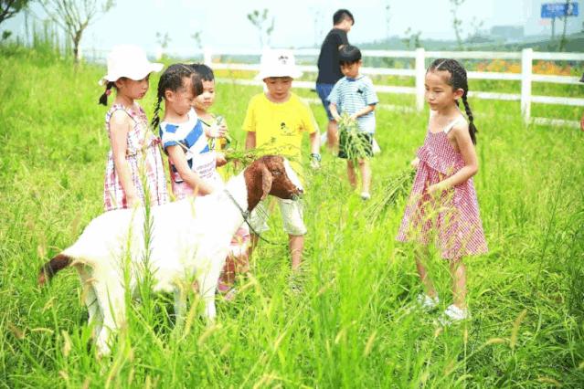 成都春游好去处周末 (成都周边周末春游推荐)