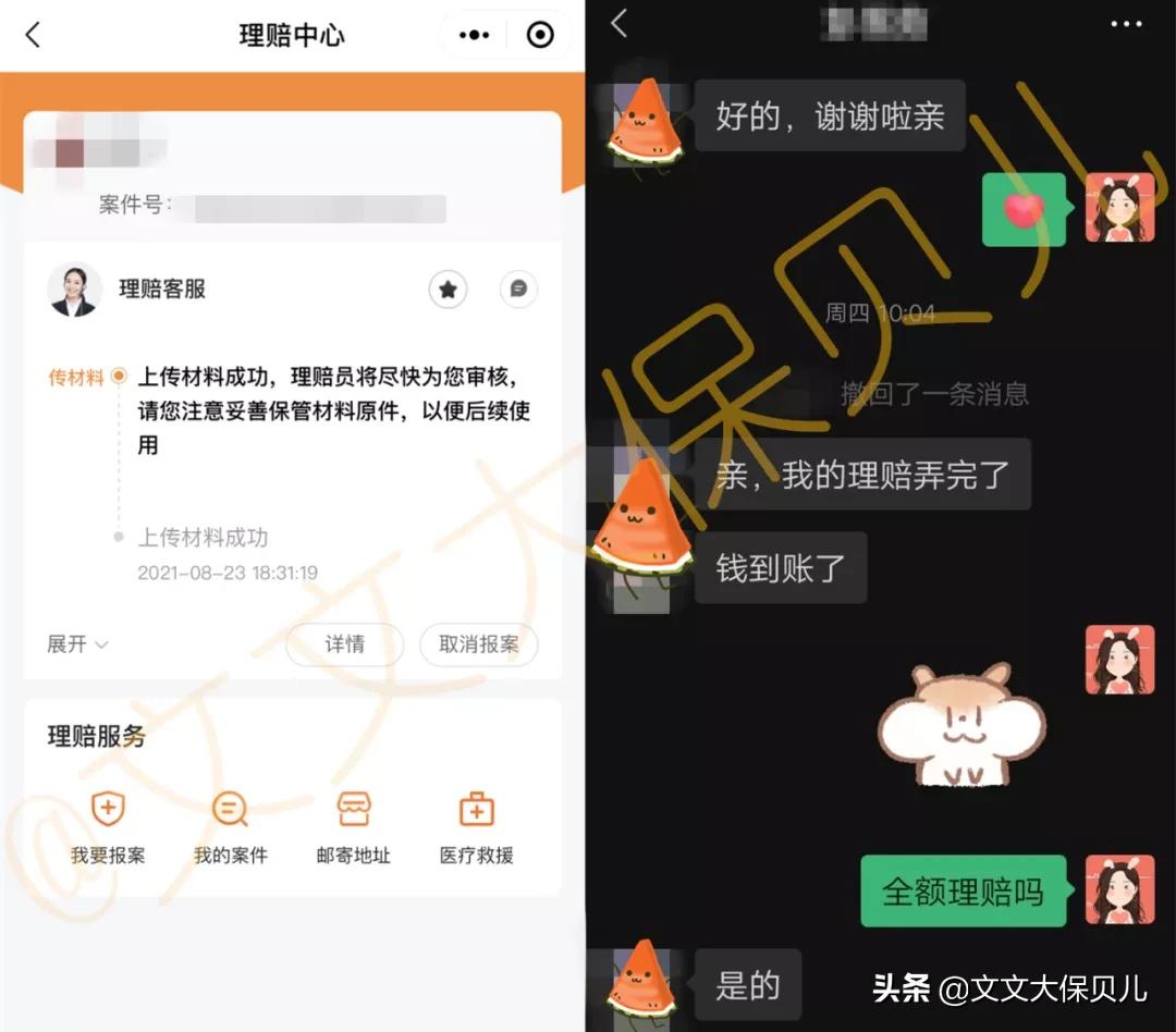 狗咬了意外险报多少,理赔意外险案例