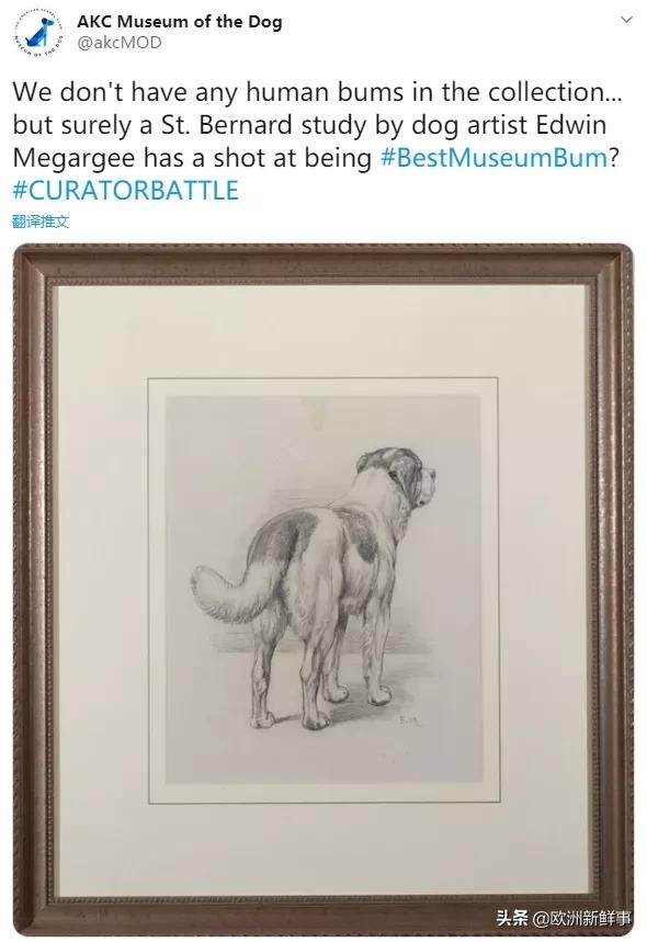 最佳博物馆屁屁花落谁家？花样翘臀看不够！网友：卡戴珊自愧不如