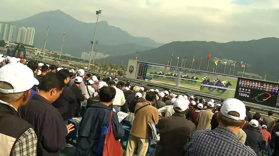 我们如何用半年时间，梳理出百年武汉赛马史？