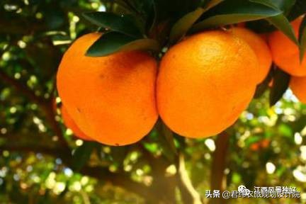 江西寻乌旅游景点,江西寻乌历史文化景区