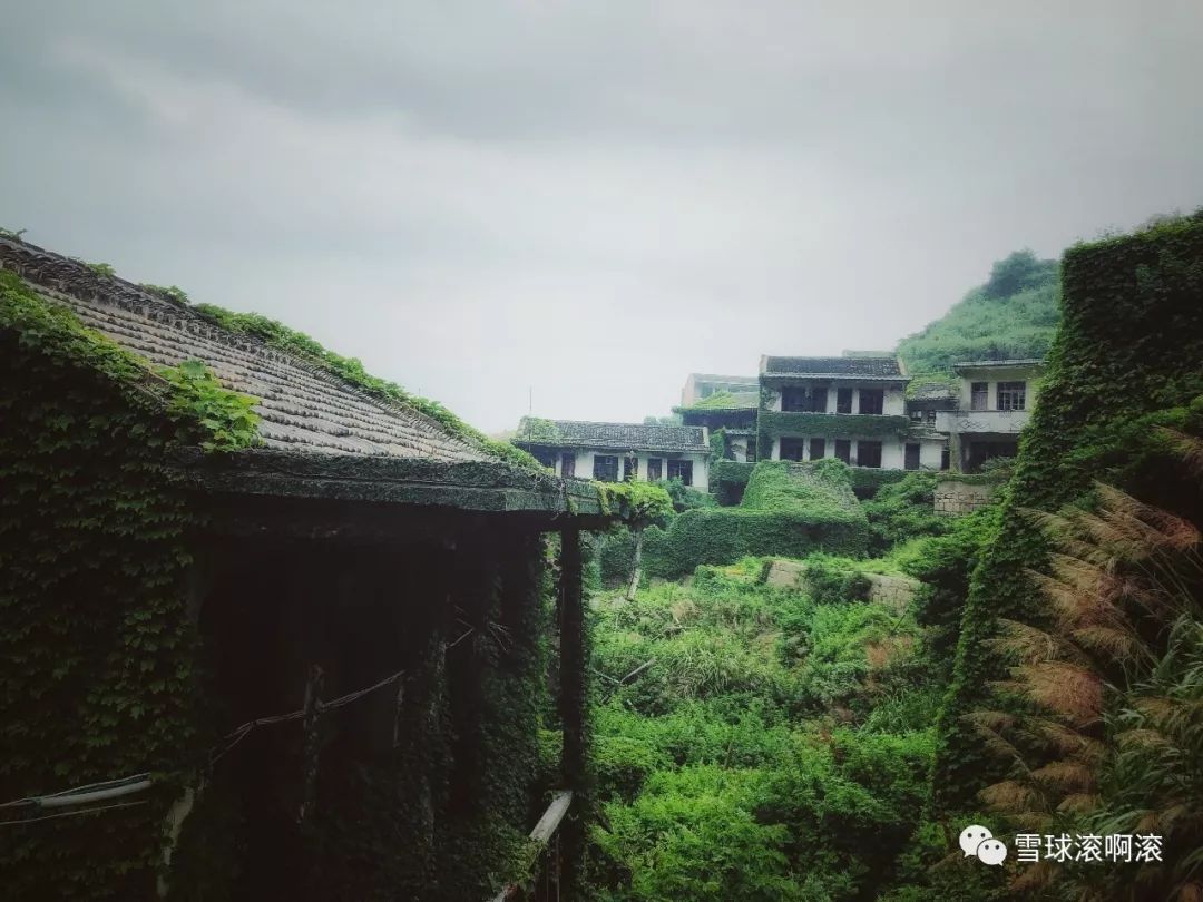 枸杞岛——六壮士崩溃之旅