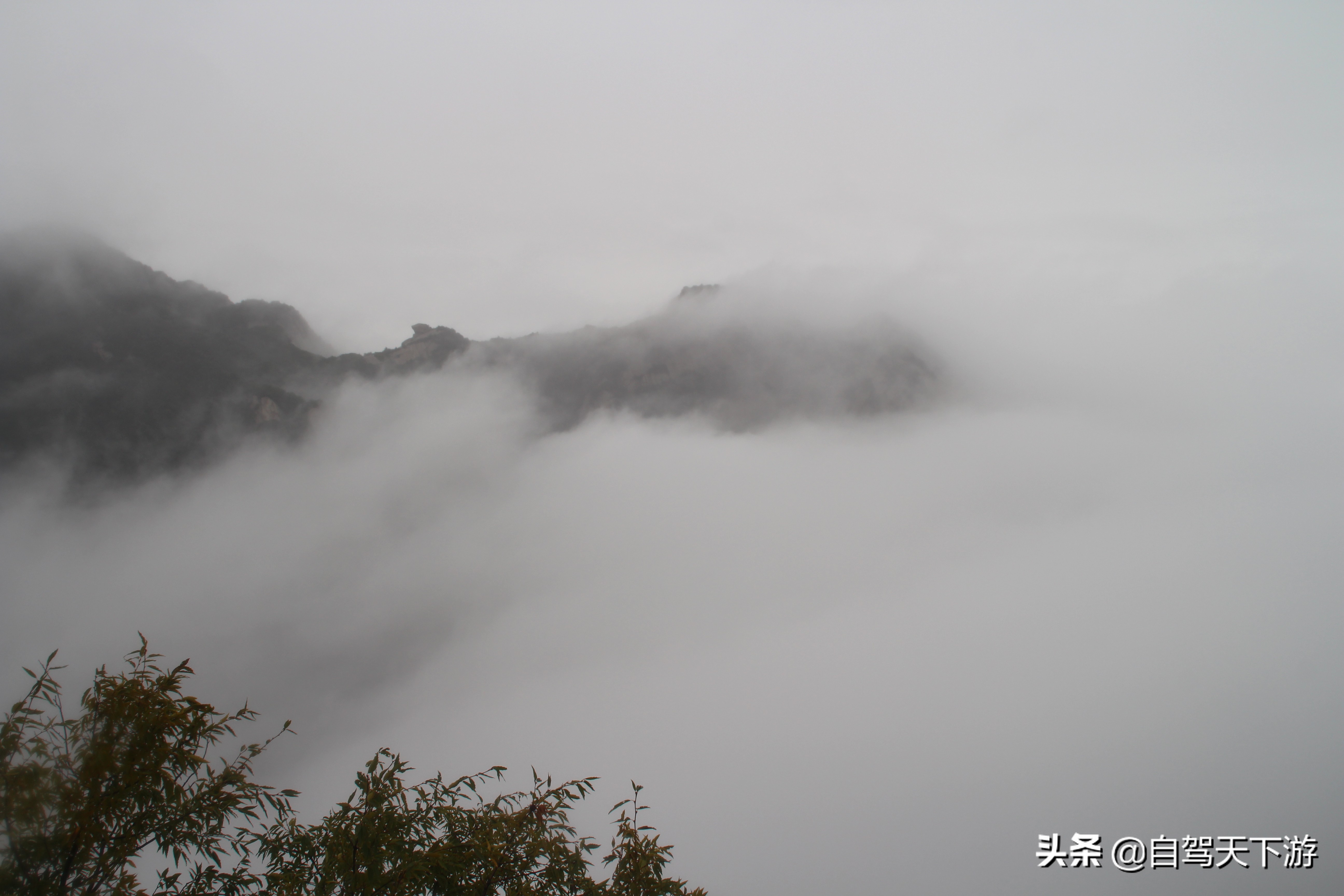 华山五岳哪座最值得去,西岳华山旅游攻略详细