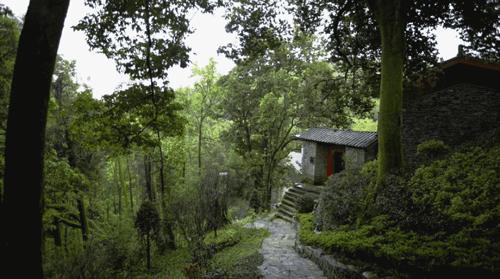 武大师兄弟复活湘西秘境，1块钱就能入股