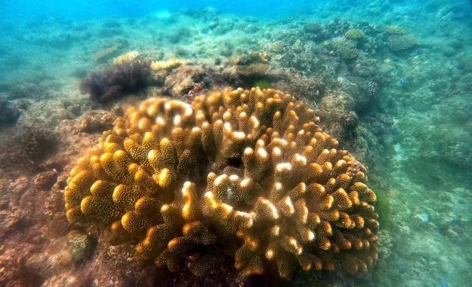 冬天情侣去哪里旅游最适合,适合情侣两三天的短途冬日旅游