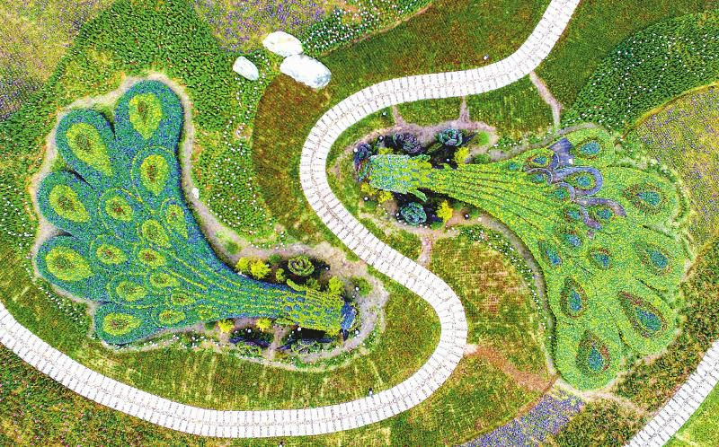 成都绿道被隔开,成都被3条路包围的楼盘