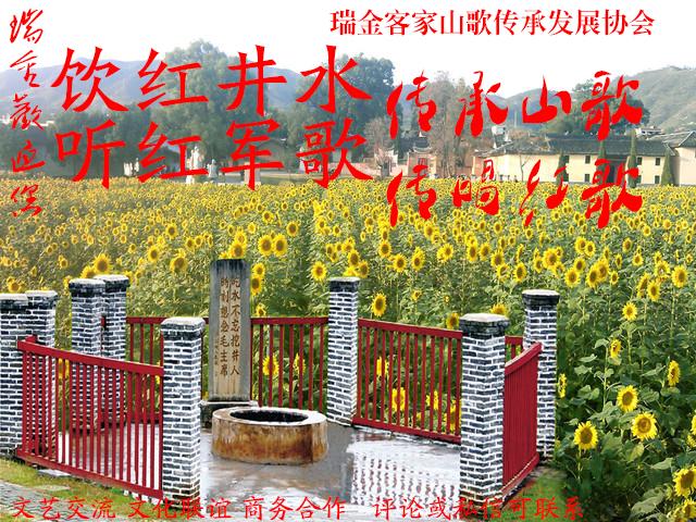 瑞金五人足球比赛,瑞金体育馆足球比赛