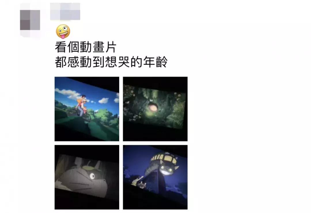 龙猫怎么选好看的,龙猫单纯好看吗