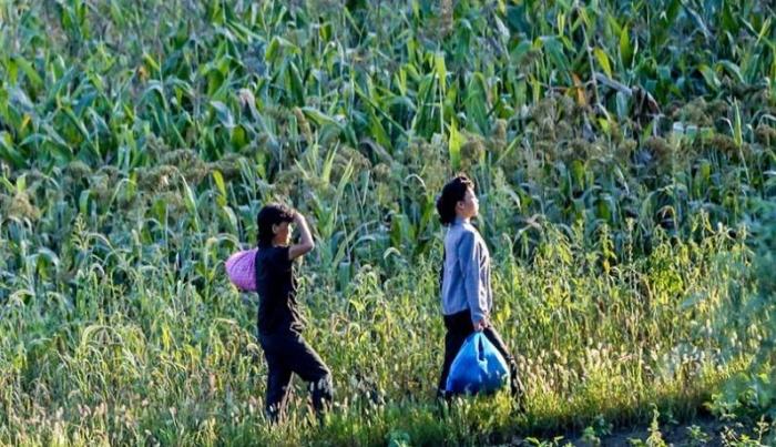 朝鲜农村媳妇，小买卖赚钱，家里买米买面穿衣做饭，一样也拉不下