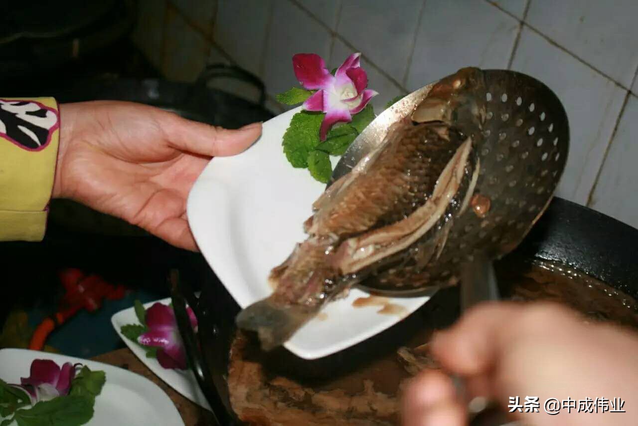 淮河鱼店,淮河鱼馆有什么商机