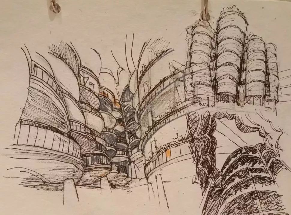 跟“长江学者”学金融、品丰盛学术大餐，看浙师学子如何逐梦新港