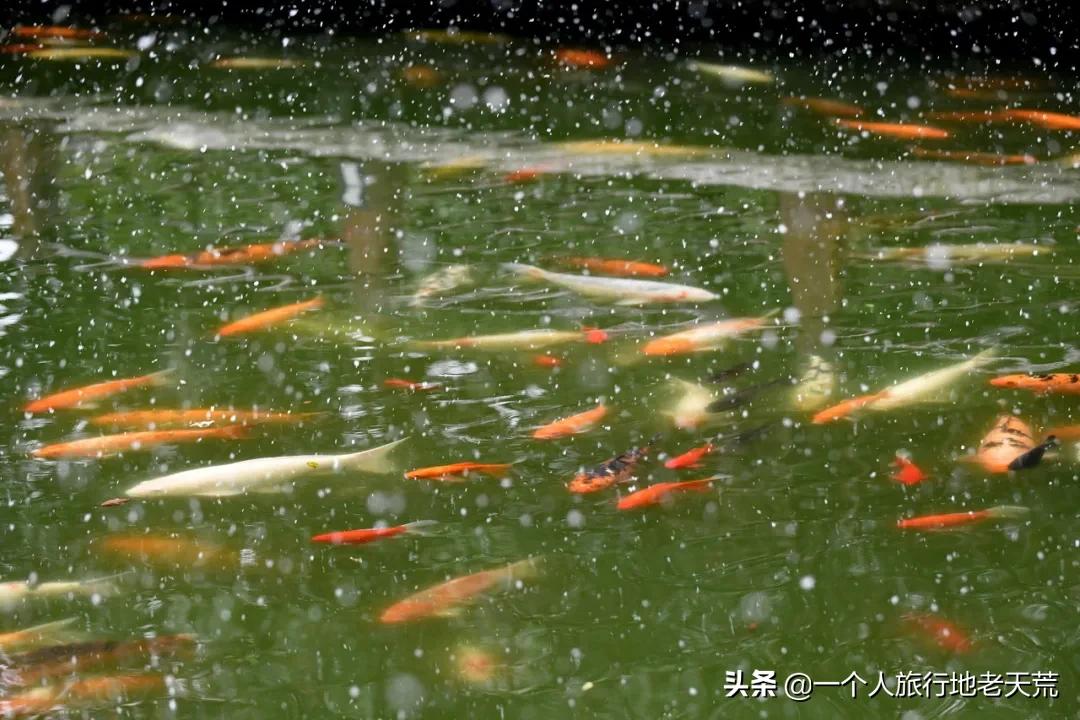 江苏这个“快乐”的城市,颜值不输苏杭,连苏东坡都在这养老