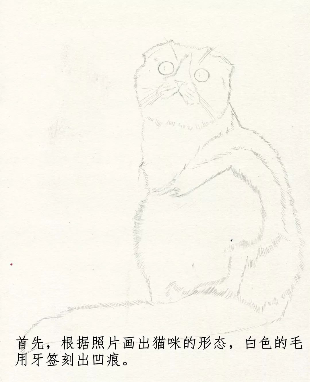 素描动物最全的收集,精微素描动物临摹高清大图