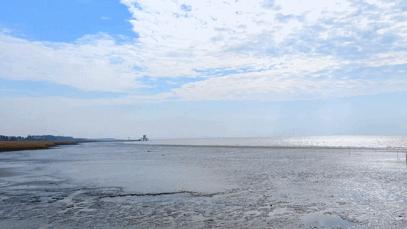 海伦多兰妈妈,海伦多兰武汉老师