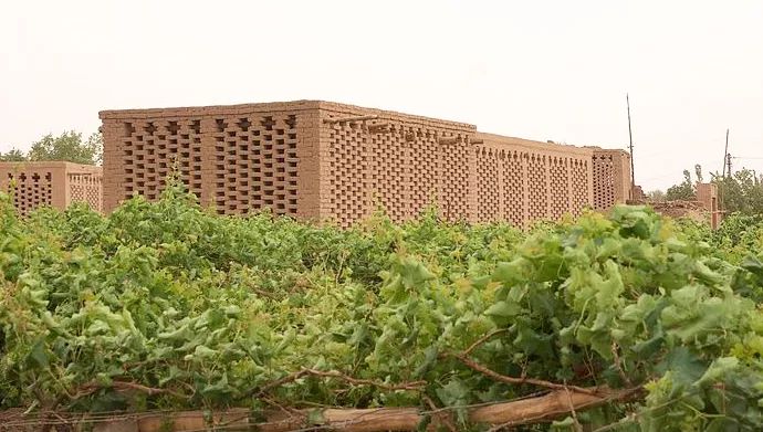 在*疆新**，谁才是“果界一哥”？