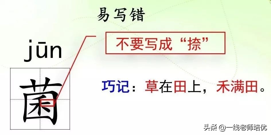 知识点+练习题部编版五年级语文上册16太阳