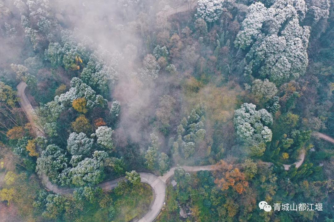 无雪不成冬,都江堰玩雪一日游