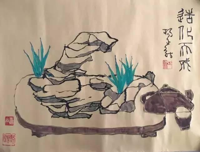 菖蒲水草需要多少k的灯,菖蒲水草泥