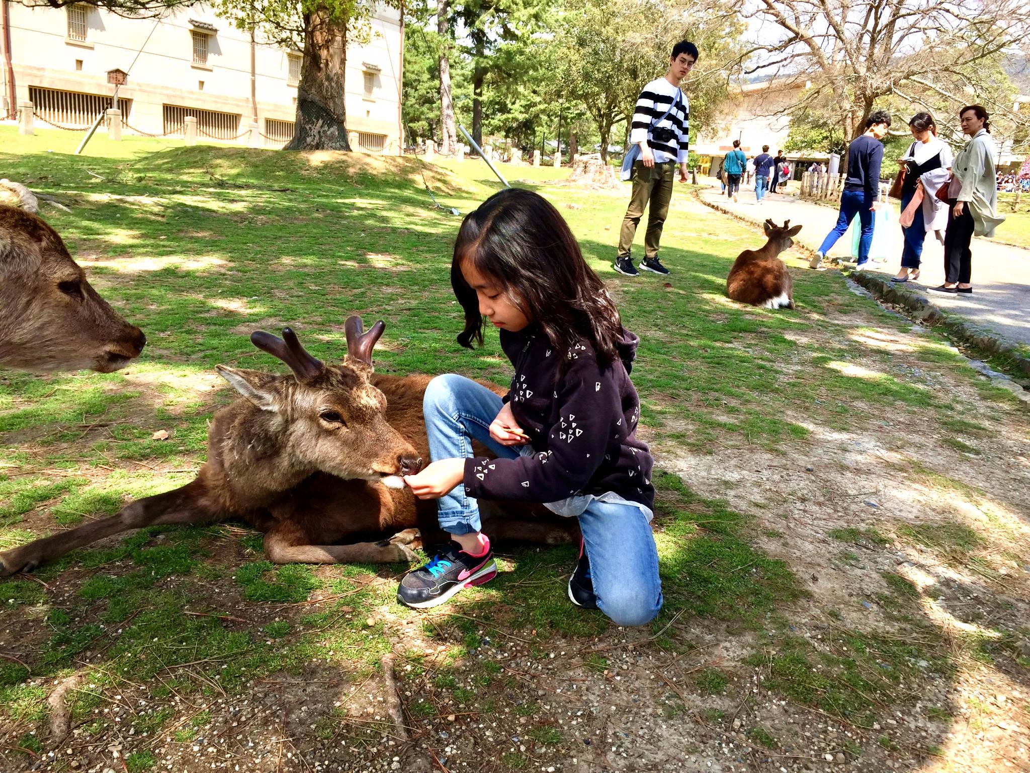 去哪个国家玩最有性价比,不远不贵不累8个国内亲子游