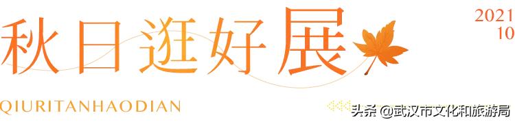 武汉12月秋季枫叶和银杏叶美景,枫叶银杏的美景最新
