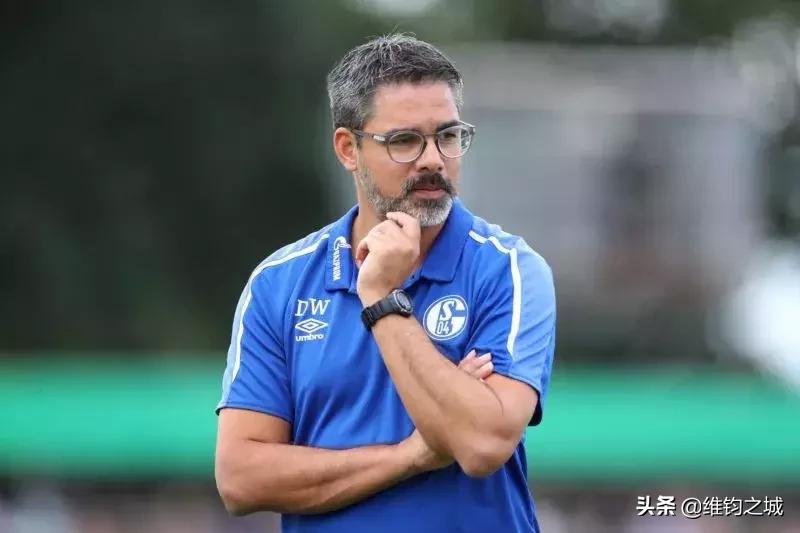 德甲换帅最新名单,德甲沃尔夫斯堡换帅