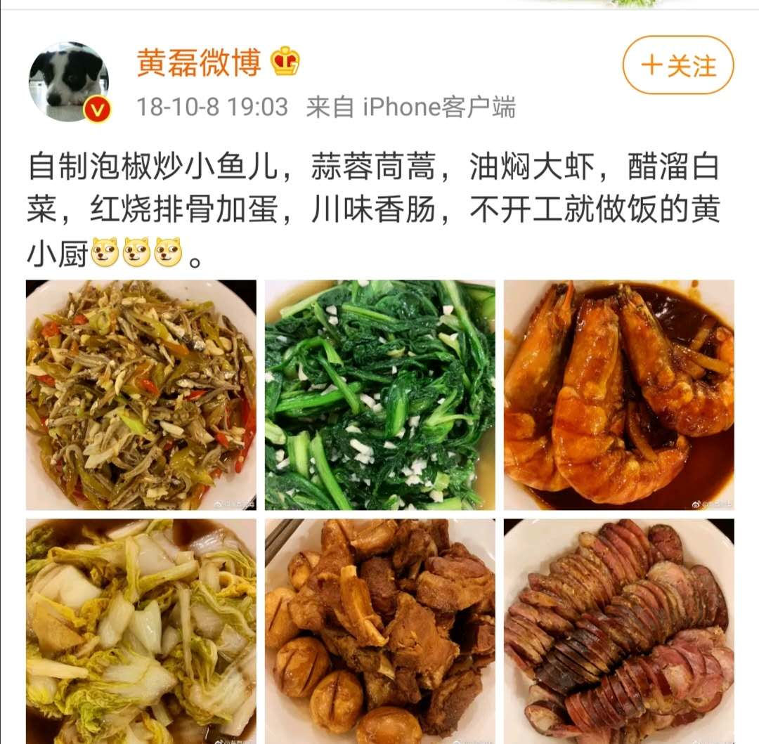 肥胖摆拍不专业，被编剧六六*制抵**，黄磊为何坚定地做“黄小厨”？