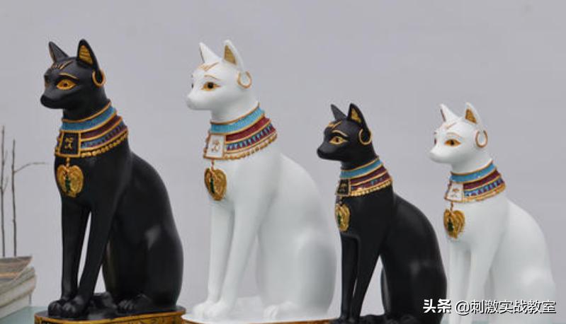 “吃鸡”1组648获得“木乃伊”，玩家：你被坑了，我有免费的