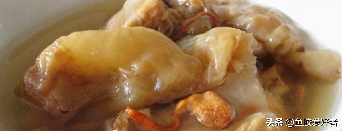 鱼胶正确的泡发方法和做法,鱼胶的制作方法最正宗