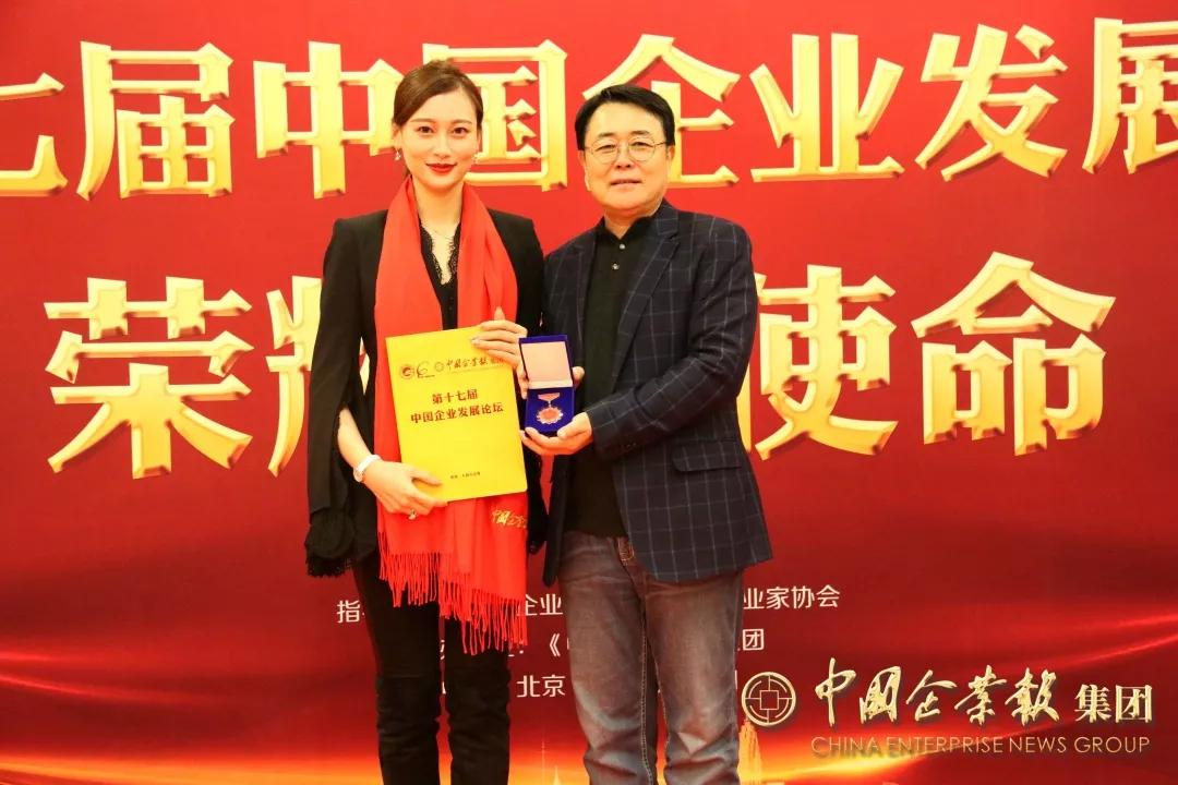 第十七届中国企业发展论坛说明,第十七届企业发展论坛