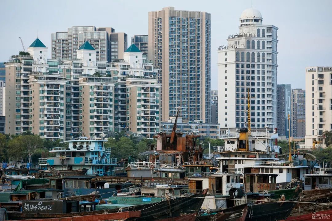 蛇口，一个住下来就不愿意再搬走的地方