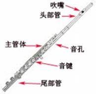 怎么分辨乐器声音,如何辨别乐器是什么调的