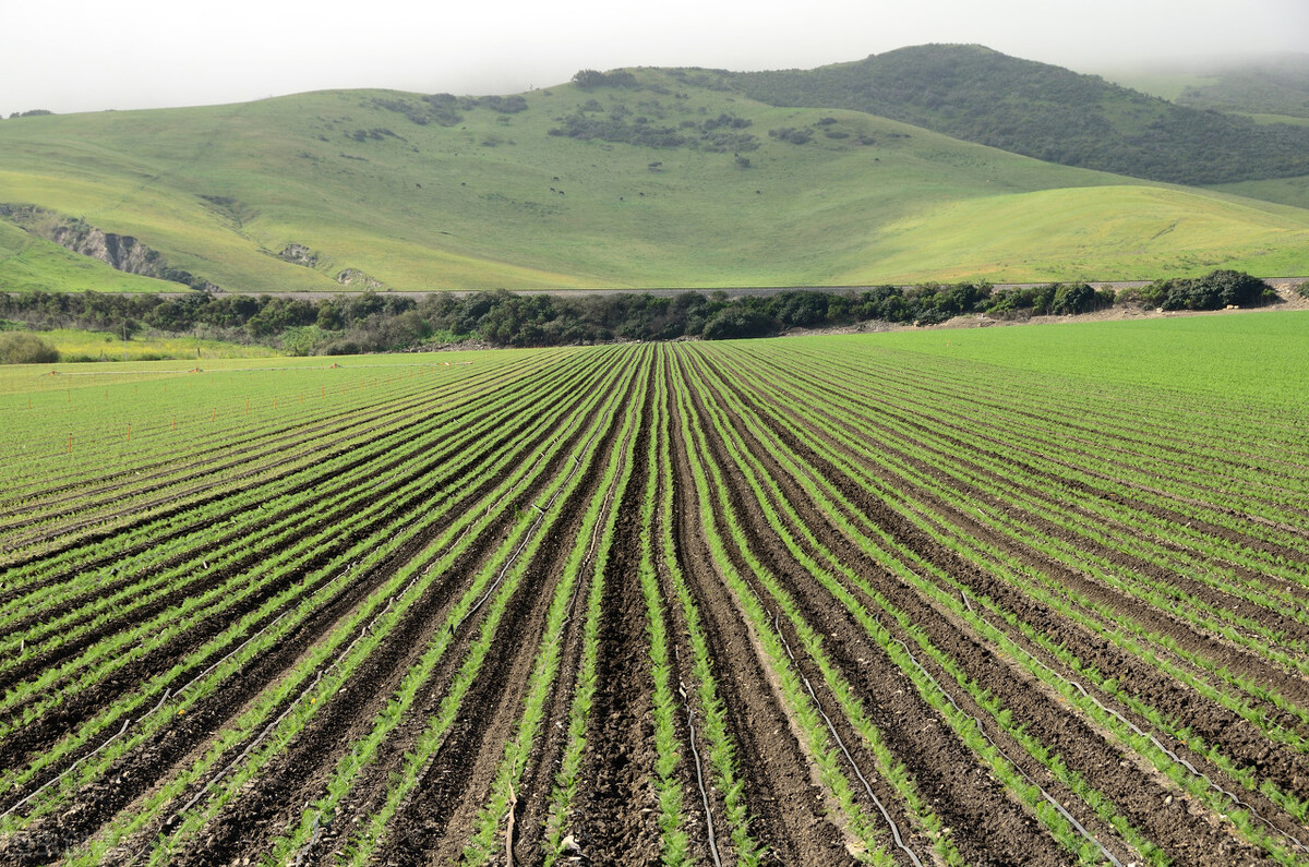 黄冈市2020第四季度开工项目,黄冈重点项目第四季度