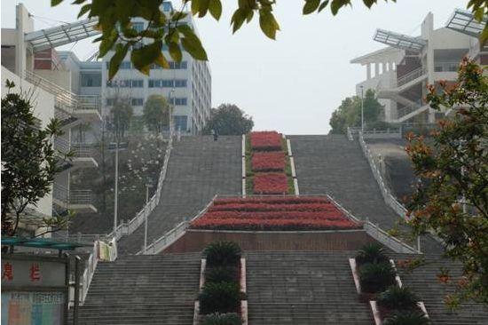 这5所理工大学，实力强大，学习环境一流