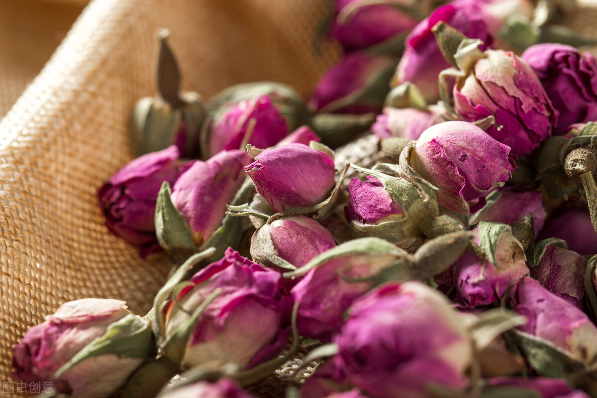 香槟玫瑰的花语是什么,玫瑰的花语是什么大全