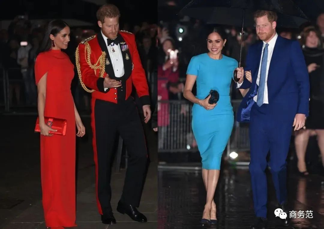 梅根为何总被黑,梅根为啥被黑得那么惨