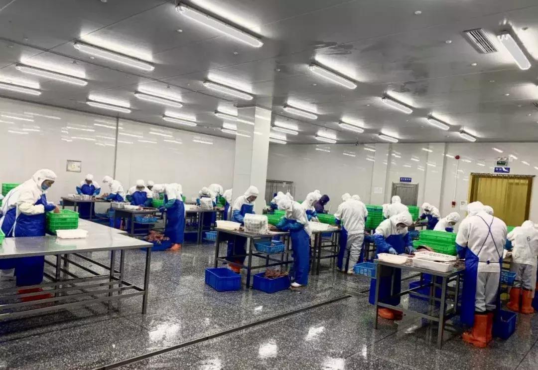 即食海鲜生意新模式 (一家海鲜小店一年能赚多少)