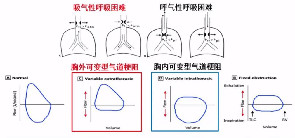 仓静简历,中山医院麻醉科主任仓静