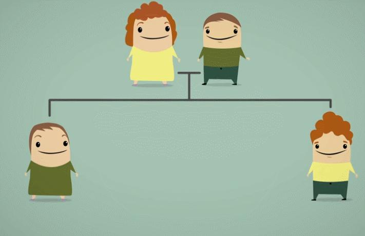 蛇最怕什么?真的不是雄黄粉,研究人员说明了原因