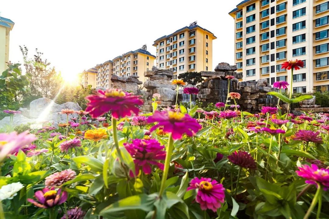 临沂兰山学校招工5小时双休,临沂哪个学校招聘信息最全