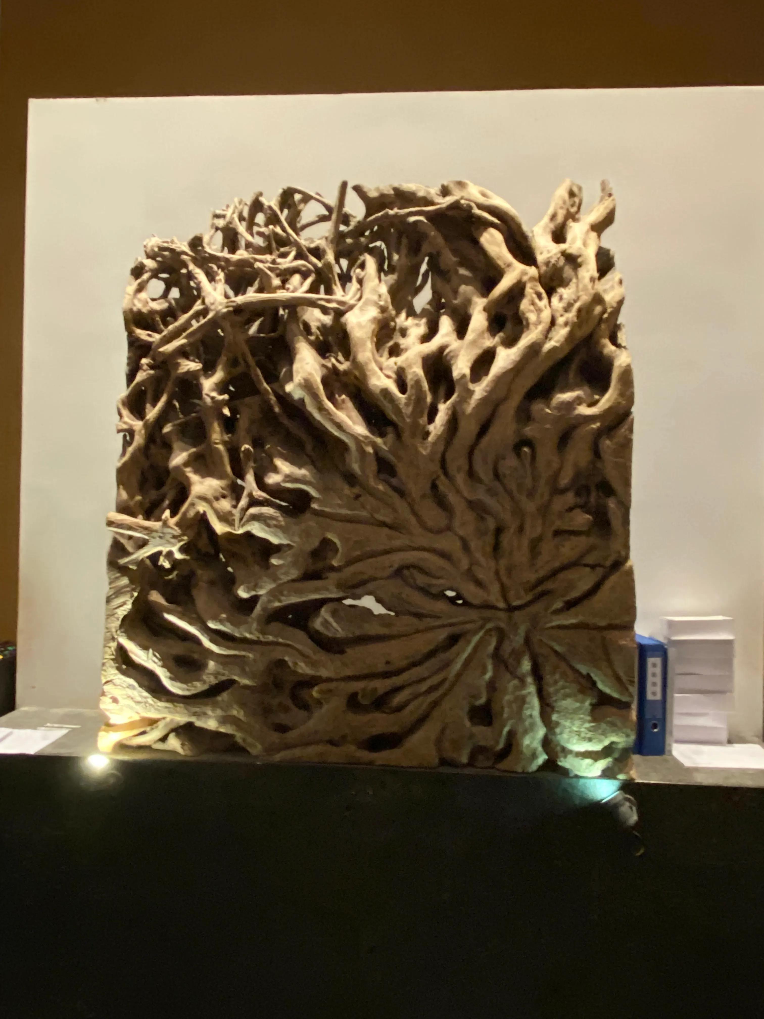 三亚红树林大王棕酒店免税店怎样,三亚湾红树林椰林酒店预订