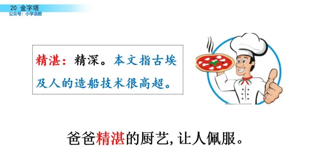 部编版五年级下册语文金字塔教案,语文书五年级下册第20课课后练习