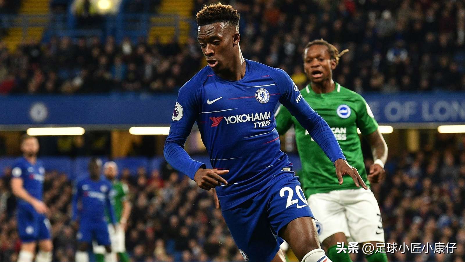 蓝军德罗巴,德罗巴蓝军