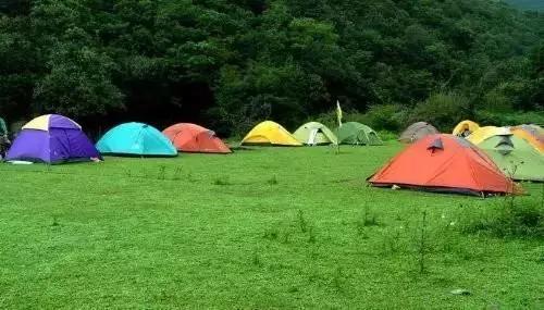 昆明周边适合露营的森林,昆明附近露营风景好