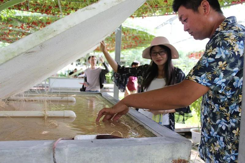 抢名额，19期中国无土栽培和土壤种植技术升级集成培训会